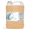 Rosehip Oil Unrefined 1 Gallon