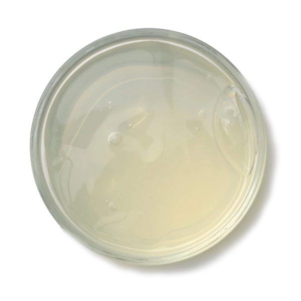 Yellowish White Shampoo