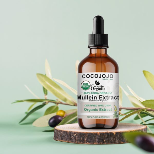Mullein Extract – USDA Organic