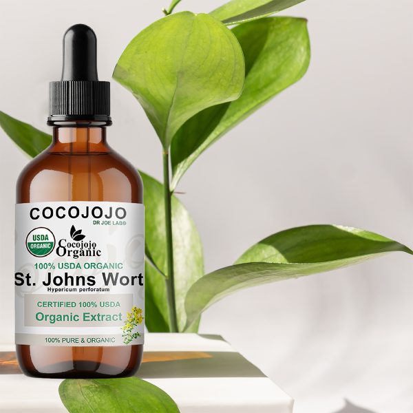 Amber cosmetic bottles with pipette on white podium, product packaging with natural ruscus branch, anti aging serum with peptides, cosmetics mockup, spa concept.