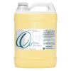 Plum Kernel Carrier Oil 1 Gallon