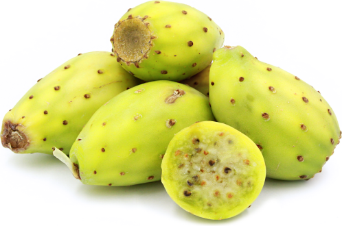 Natural Prickly Pear Seed Oil